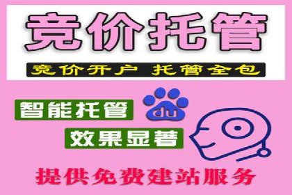 SEM托管公司案例分析：数据驱动决策
