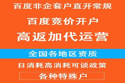 案例解析：如何通过推广竞价提升品牌知名度